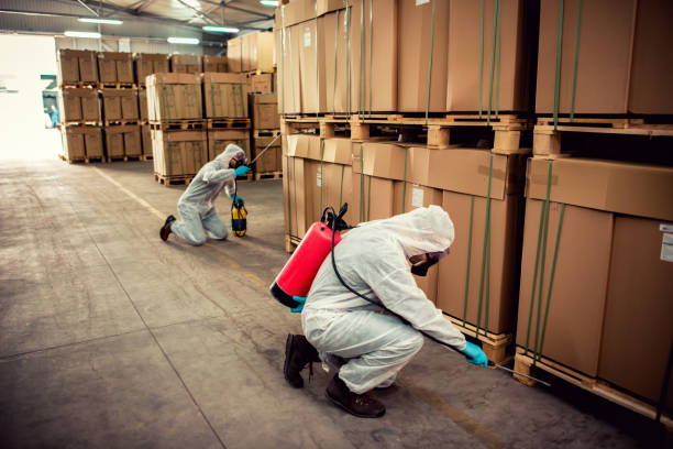 Best Affordable Pest Control Services  in Wingate, NC