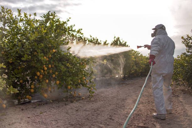 Best Emergency Pest Control  in Wingate, NC