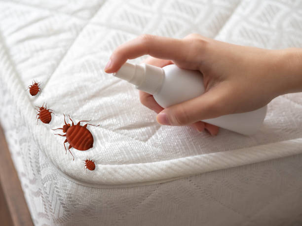 Pest Prevention Services in Wingate, NC